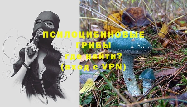 ECSTASY Бугульма