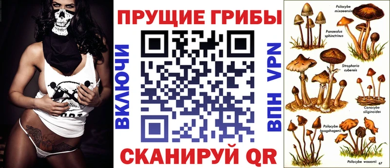 Псилоцибиновые грибы ЛСД как найти закладки Верхотурье